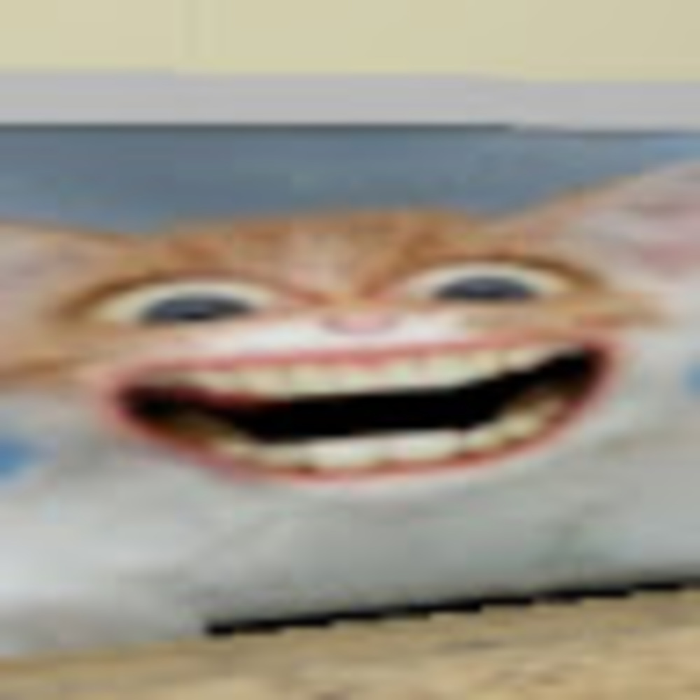 Meet your Posher, Juanita